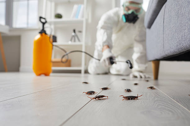 Trusted Rodent Control service in Bellwood, VA - Nex Pest Control